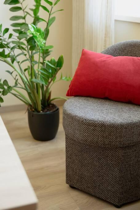 Old Town Apartament *